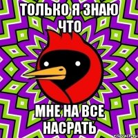 Только я знаю что мне на все насрать