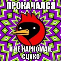 прокачался и не наркоман, сцуко