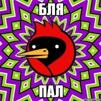 бля пал