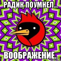 Радик поумнел... Воображение..