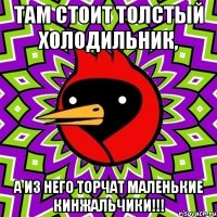там стоит толстый холодильник, а из него торчат маленькие кинжальчики!!!