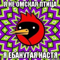 я не омская птица я ебанутая Настя