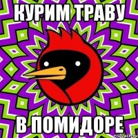 курим траву в помидоре
