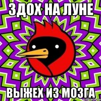 здох на луне выжех из мозга