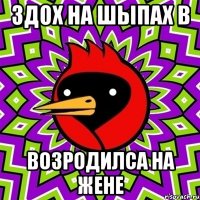 здох на шыпах в возродилса на жене