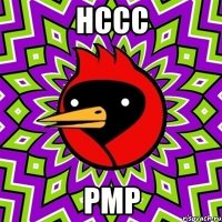 нссс рмр