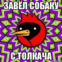Завёл собаку с толкача