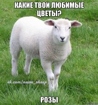 какие твои любимые цветы? РОЗЫ