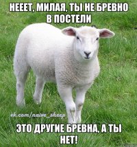 нееет, милая, ты не бревно в постели это другие бревна, а ты нет!