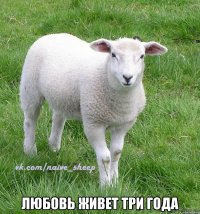  любовь живет три года