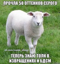 прочла 50 оттенков серого теперь знаю толк в извращениях и бдсм