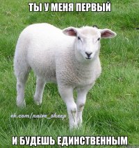 ты у меня первый и будешь единственным