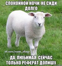спокойной ночи, не сиди долго да, любимая, сейчас только реферат допишу