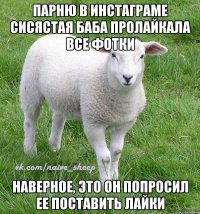 парню в инстаграме сисястая баба пролайкала все фотки наверное, это он попросил ее поставить лайки