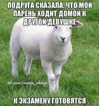 подруга сказала, что мой парень ходит домой к другой девушке к экзамену готовятся