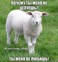 почему ты меня не целуешь? ты меня не любишь!