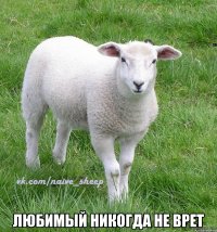 любимый никогда не врет
