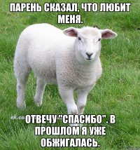 парень сказал, что любит меня. отвечу "спасибо". в прошлом я уже обжигалась.