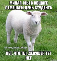 милая, мы в общаге отмечаем день студента нет, что ты, девушек тут нет