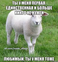 ты у меня первая, единственная и больше никто не нужен любимый, ты у меня тоже
