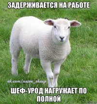 задерживается на работе шеф-урод нагружает по полной