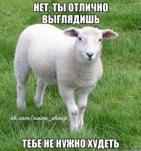 нет, ты отлично выглядишь тебе не нужно худеть