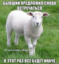 бывший предложил снова встречаться в этот раз все будет иначе