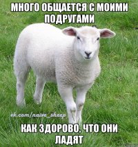 много общается с моими подругами как здорово, что они ладят