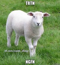 trtn ngfn