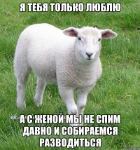 я тебя только люблю а с женой мы не спим давно и собираемся разводиться
