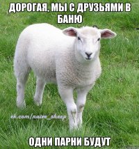 дорогая, мы с друзьями в баню одни парни будут