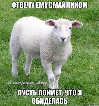 отвечу ему смайликом пусть поймет, что я обиделась