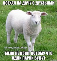 поехал на дачу с друзьями меня не взял, потому что одни парни будут