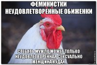 Феминистки неудовлетворенные обиженки Стебать мужло может только неудовлетворенная сексуально женщина кудах
