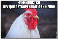 Феминистки неудовлетворенные обиженки 