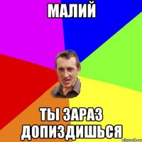 Малий ты зараз допиздишься