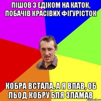 Пішов з Едіком на каток, побачів красівих фігурісток Кобра встала, а я впав, об льод кобру бля зламав