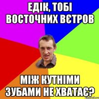 ЕДІК, тобі восточних вєтров між кутніми зубами не хватає?