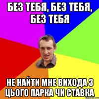 Без тебя, без тебя, без тебя Не найти мне вихода з цього парка чи ставка