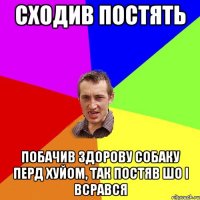 СХОДИВ ПОСТЯТЬ ПОБАЧИВ ЗДОРОВУ СОБАКУ ПЕРД ХУЙОМ, ТАК ПОСТЯВ ШО І ВСРАВСЯ