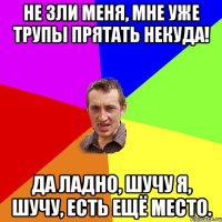 Не зли меня, мне уже трупы прятать некуда! Да ладно, шучу я, шучу, есть ещё место.