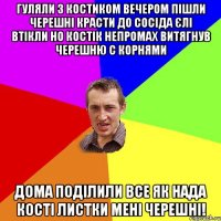 гуляли з Костиком Вечером пішли черешні красти до сосіда єлі втікли но Костік непромах витягнув черешню с корнями дома поділили все як нада кості листки мені черешні!