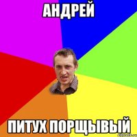 андрей питух порщывый