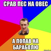 Срав пес на овес а попав на бараболю