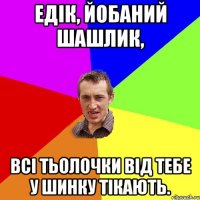 Едік, йобаний шашлик, Всі тьолочки від тебе у шинку тікають.