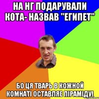 На НГ подарували кота- назвав "ЕГИПЕТ" Бо ця тварь в кожной комнаті оставляе піраміду!