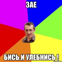 Зае Бись.и улебнись !