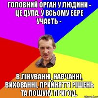 Головний орган у людини - це дупа. У всьому бере участь - в лікуванні, навчанні, вихованні, прийнятті рішень та пошуку пригод.