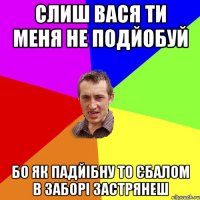 Слиш Вася ти меня не подйобуй бо як падйібну то єбалом в заборі застрянеш