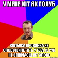 у мене кiт як голуб колбаса кровянка як слово!Вилетить у тебе iз рук не спiймаЄш.кiт злове